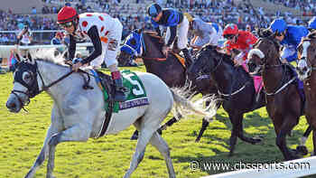 2020 Fountain of Youth Stakes odds, predictions, contenders: Expert picks from top handicapping champion