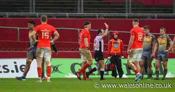 Munster 29-10 Scarlets: Moment of madness costs visitors as red card wrecks hopes