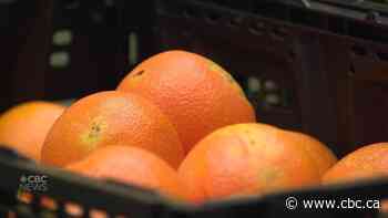 Fresh Routes brings vegetables to Clareview