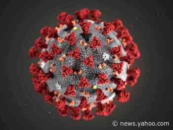 The US has reported its first coronavirus death: a man in his 50s in Washington