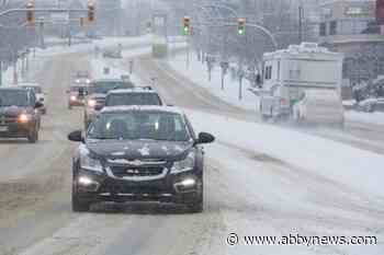 Second snowstorm expected to hit BC Interior over weekend - Abbotsford News