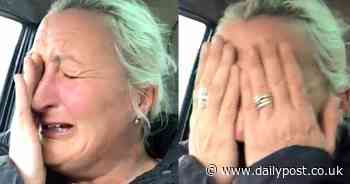 Harrowing video of North Wales farmer pushed to the edge by land dispute and storm devastation - Daily Post