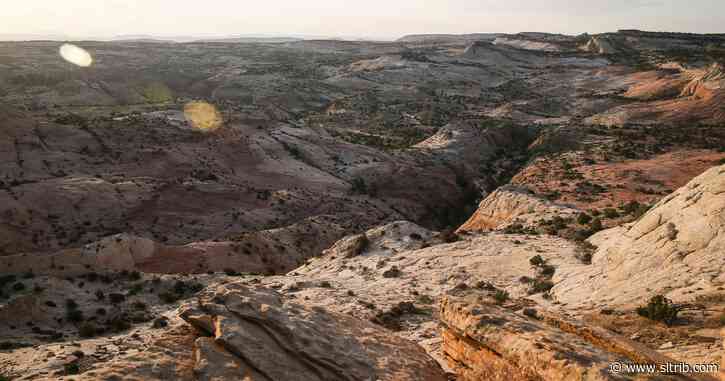 Peter Metcalf: Bloomberg would honor Wallace Stegner’s vision for the West