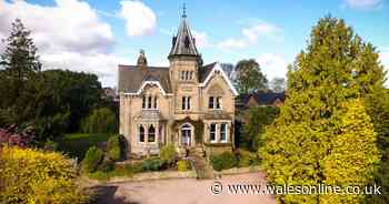 Enchanting storybook cottages taken straight out of a fairy tale