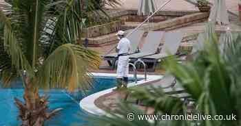 Coronavirus latest LIVE: Gateshead teacher tested for disease returns negative result - ChronicleLive