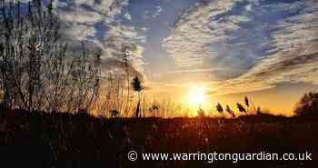 Gallery: Send us the best photo you have taken on a mobile phone