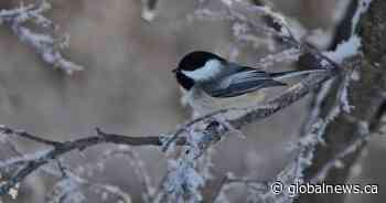 Your Saskatchewan photo of the day: March 2020