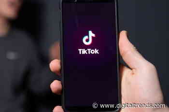 Reddit CEO warns against ‘parasitic’ TikTok, claims app is spyware