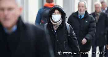 Coronavirus cases leap in the UK with 12 new cases confirmed