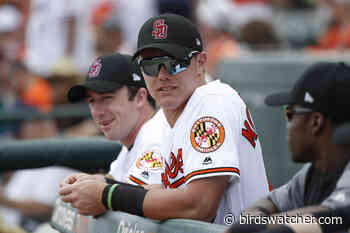 Baltimore Orioles: Ryan Mountcastle Continues To Rake - Birds Watcher