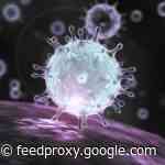 Apple is keeping a close eye on outbreaks in Italy and South Korea