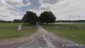 Alberta equestrian athlete dies after fall in Florida competition