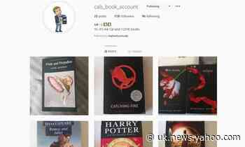 Top authors take to Instagram to defend teenage book lover