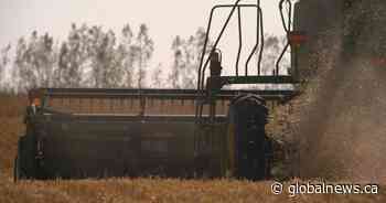 2 million acres of Saskatchewan crop still needs to be harvested from last year
