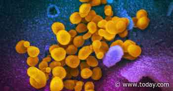 9 most-searched questions about the new coronavirus answered