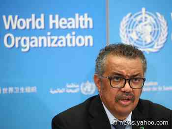 WHO director says there's a need to prepare for a 'pandemic' but global markets should 'calm down' as coronavirus wreaks havoc on the global economy