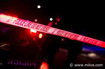 Sault Ste. Marie man killed in single-car crash after he lost control of car and struck a tree - MLive.com