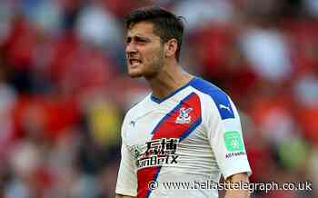 Premier League points tally proves we want Hodgson to stay at Palace, says Ward