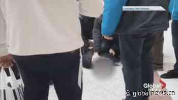 Southgate Centre thief apprehended by citizens