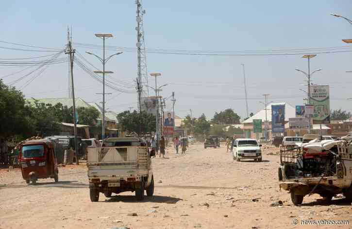 Diaspora has big role as Somalia rebuilds economy, global ties: finance minister