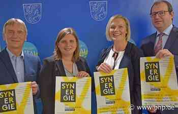 Synergie-Festival am European-Campus - Pfarrkirchen - Passauer Neue Presse
