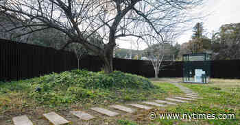 The Architect Making Conceptual Art Out of Buildings