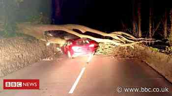 Storm Jorge: Family escapes unhurt as tree falls on car