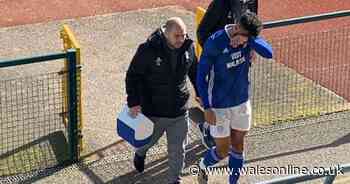 The furious reaction of Cardiff City's Isaac Vassell after he pulls up lame on nightmare return to action