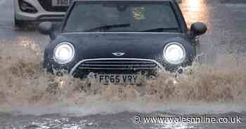 This is the record-breaking rainfall Wales received in February - and more rain is on the way for March
