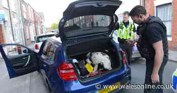 The massive give-away that your neighbour is a county lines drug dealer