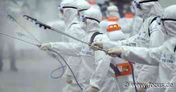 Virus-Angst: Wirtschaft droht Komplett-Kollaps – Regierung plant Notfallprogramm - FOCUS Online