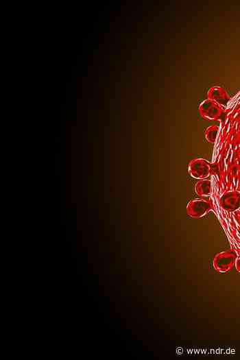 Kommentar zum Coronavirus: Wirtschaft ist infiziert - NDR.de