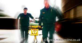 The latest Welsh Coronavirus advice on Six Nations fixtures, schools and going to hospital