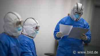 Coronavirus: Infiziert es auch die deutsche Wirtschaft? Dax an der Börse im Minus - BILD