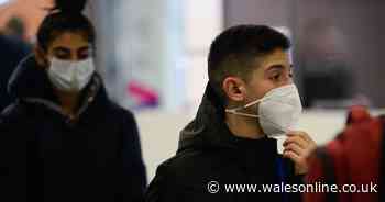 Could the coronavirus cause UK cities to be put on lockdown?