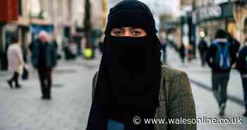 Senior Cardiff Jews ask Plaid Cymru to reconsider allowing Sahar Al-Faifi to stand as party's Assembly candidate