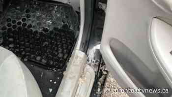 Lyft charges Toronto mom $50 for ‘damaging’ vehicle with kids’ snowy boots