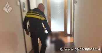 Politie bevrijdt kindje bij ‘verwarde moeder uit chaotische woning’: ‘Onder de arm en wegwezen’