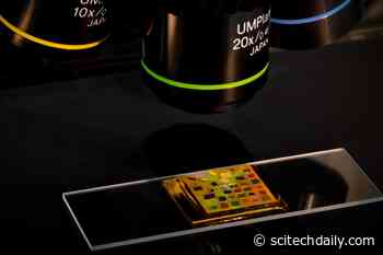 Handheld Dark-Field Microscope Enabled by Mirrored Chip Powered by Quantum Dots