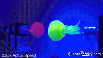 Unraveling Turbulence: How Fluids Transform From Order to Disorder