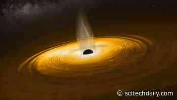 Astronomers Map Black Hole Surroundings Using “Cosmic Echo-Location”