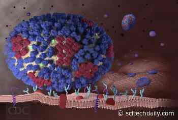 New Tool Monitors Real Time Mutations in Flu – Could Help Stop Replication of Viruses