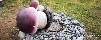 Canzo, mazzate ai funghi in cemento Abbellivano una aiuola del centro - La Provincia di Como