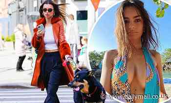 Emily Ratajkowski flashes her toned tummy in a crop top after sharing busty bathing suit snap