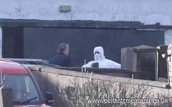 Toddler dies and mother and child injured during farmhouse stabbing