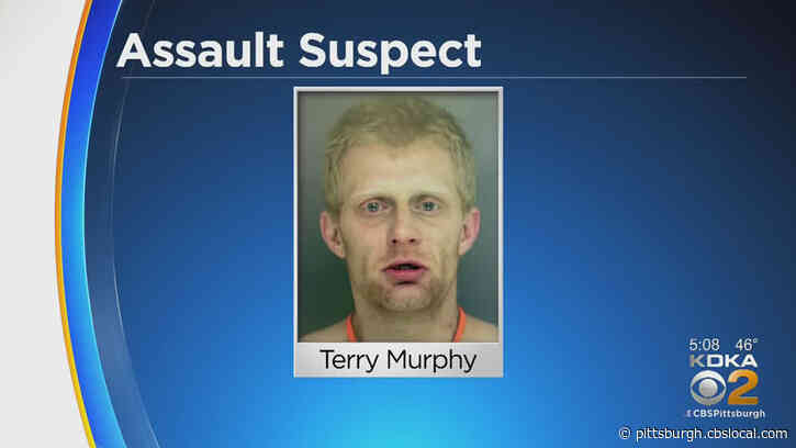 Police: Man On 5-Day Crystal Meth Binge Breaks Into Neighbor’s Home To Chase ‘Demon Dog’ For Satan