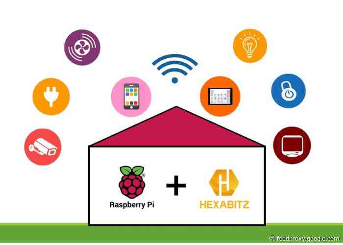 Raspberry Pi remote access using Hexabitz