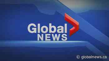 Global News Hour at 6 Edmonton: March 2