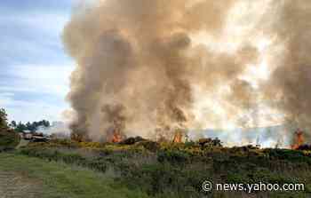 Some parts of California had no rain in February — and are already seeing wildfires