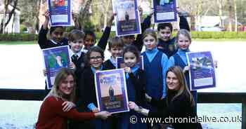 Durham school leads the way in tackling mental health by creating special Top Trumps cards